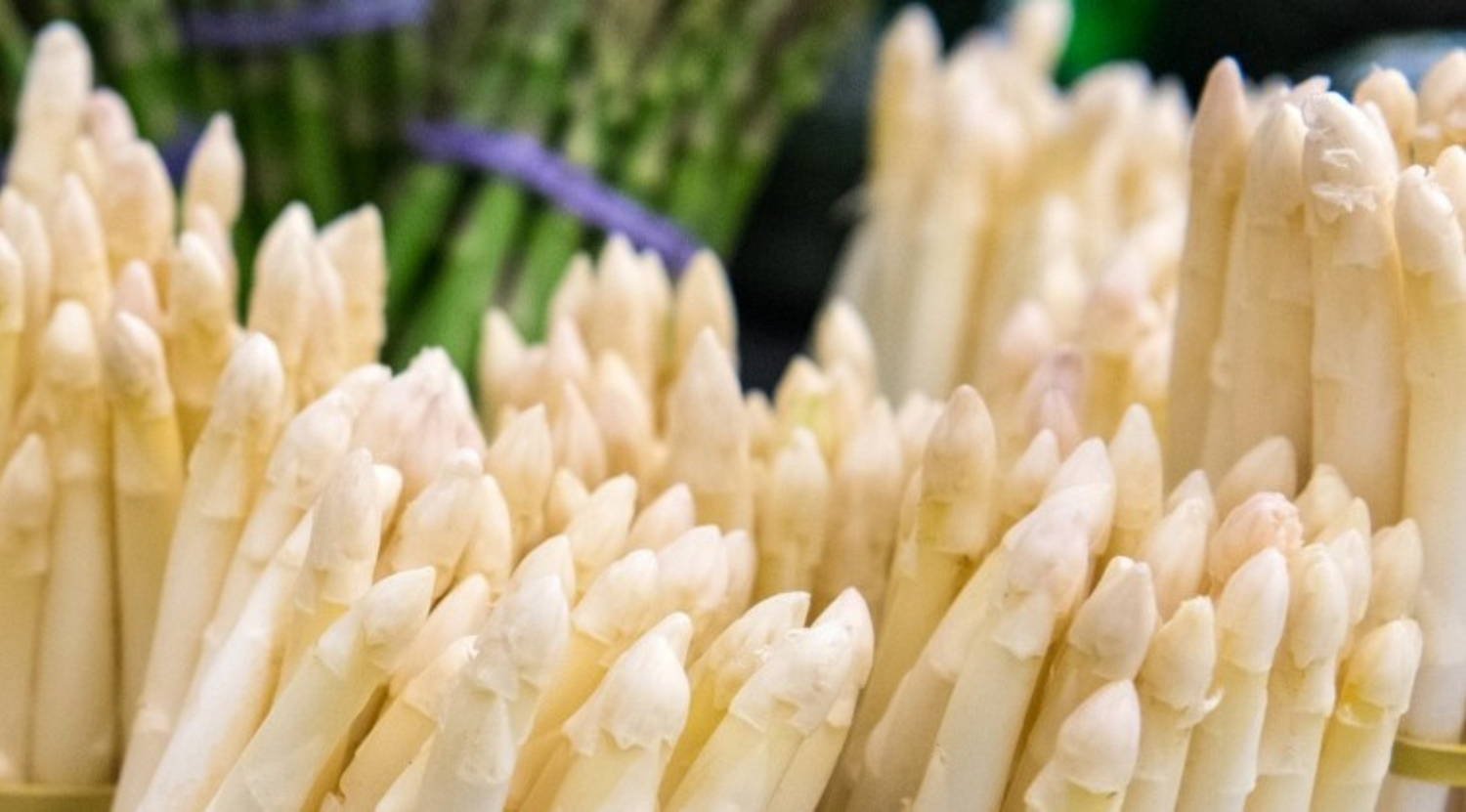 So gehts frischen Spargel erkennen und richtig lagern
